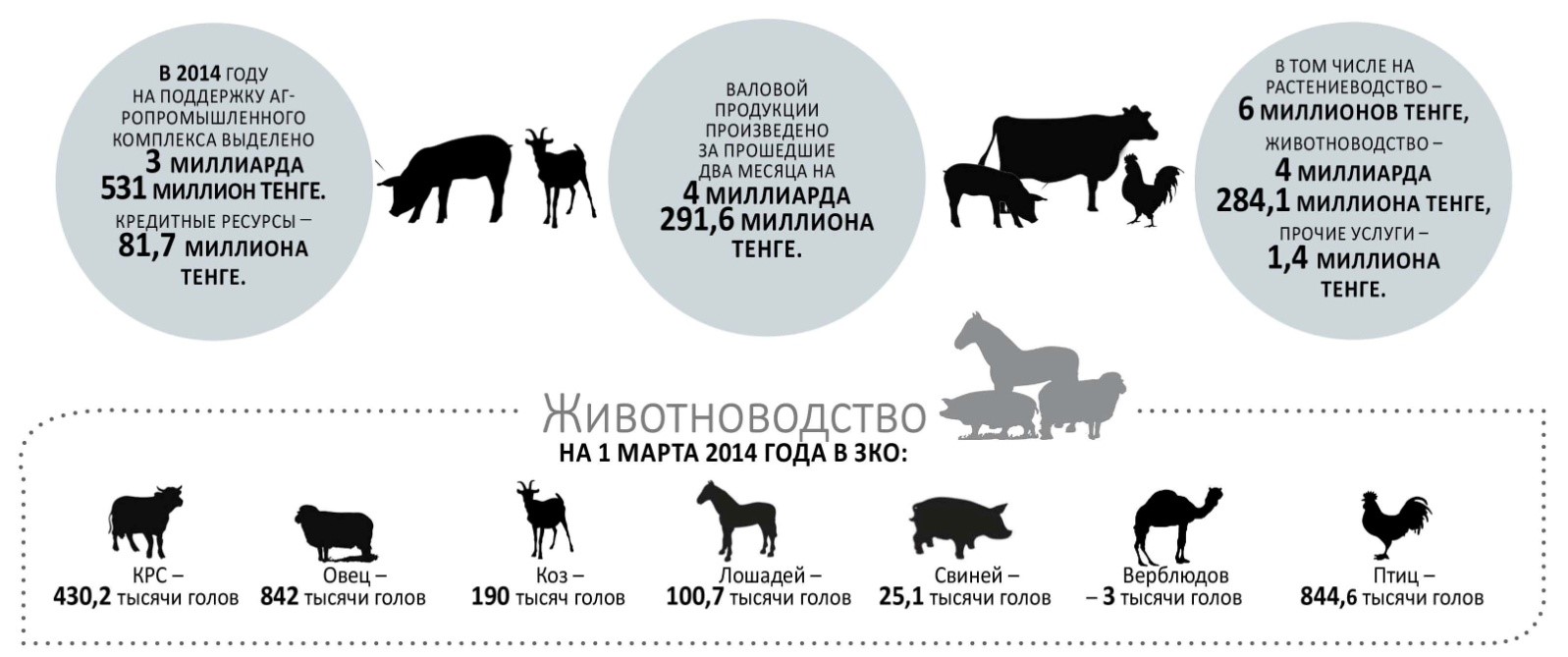 Комбикормовая промышленность